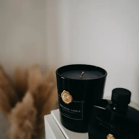 E&s 1 Apartament Oberhausen (North Rhine-Westphalia)